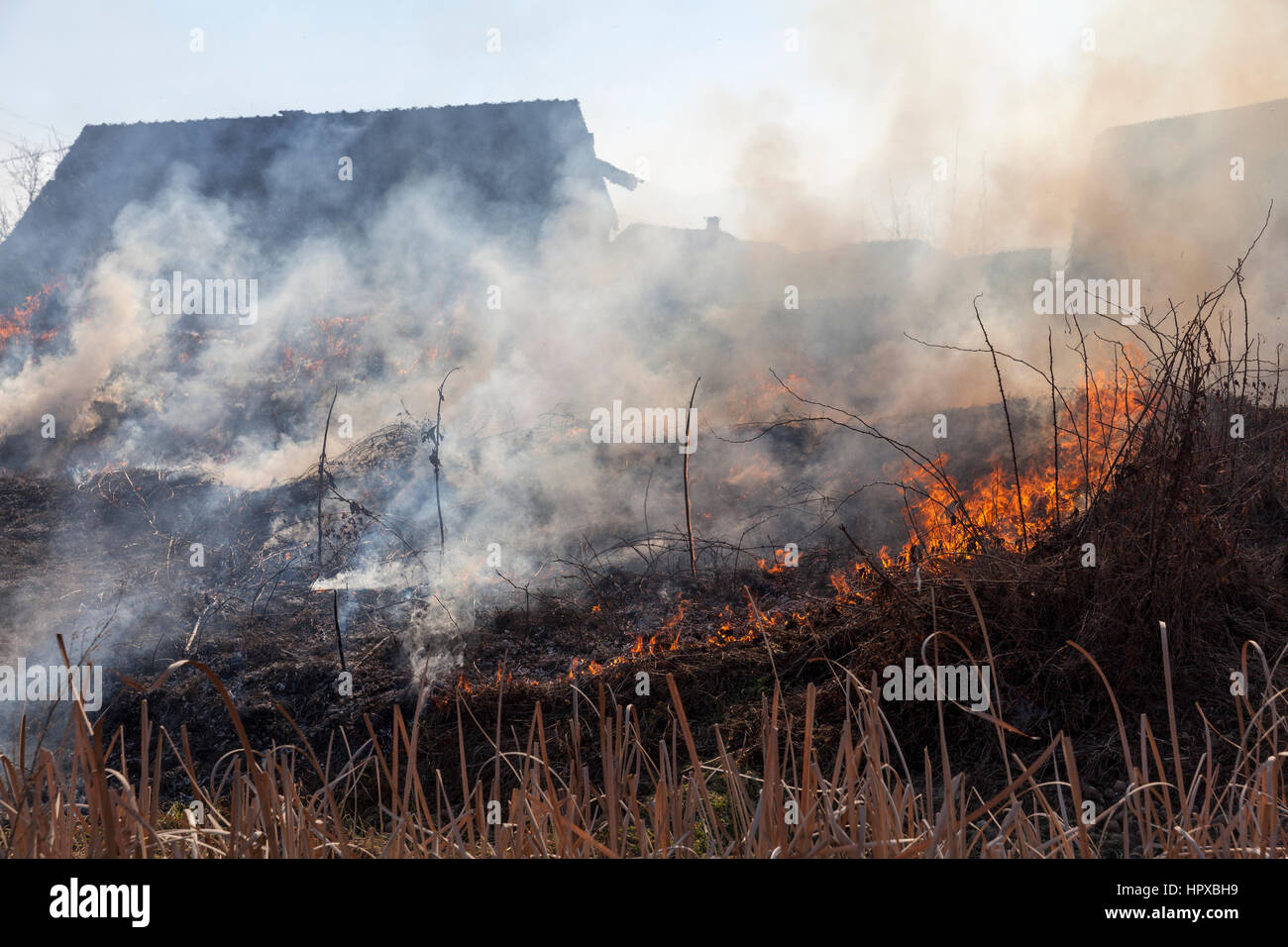 dry grass on fire , smoke disaster Stock Photo