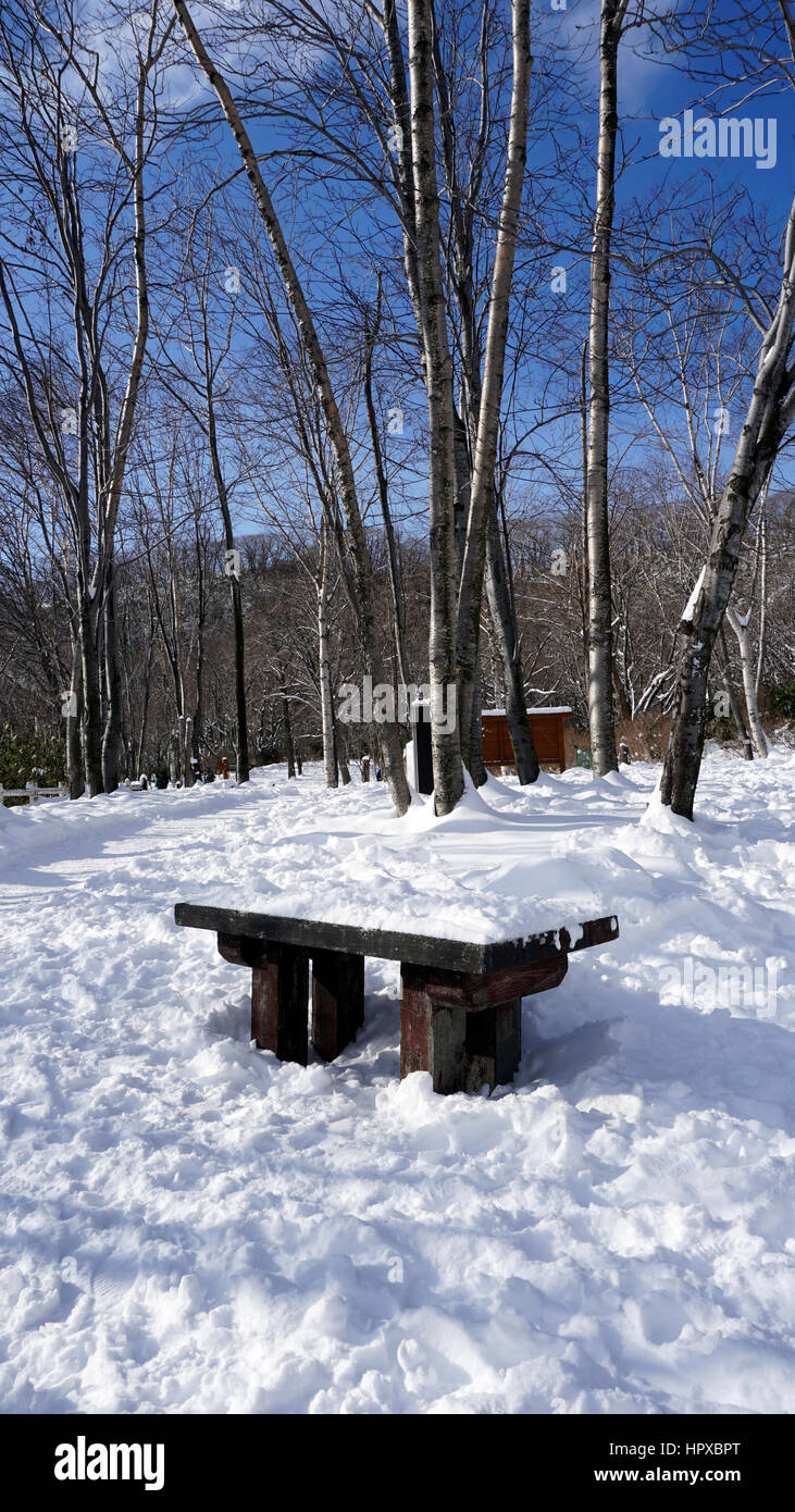 Snow and bench in the walkway forest Noboribetsu onsen snow winter national park in Jigokudani, Hokkaido, Japan Stock Photo