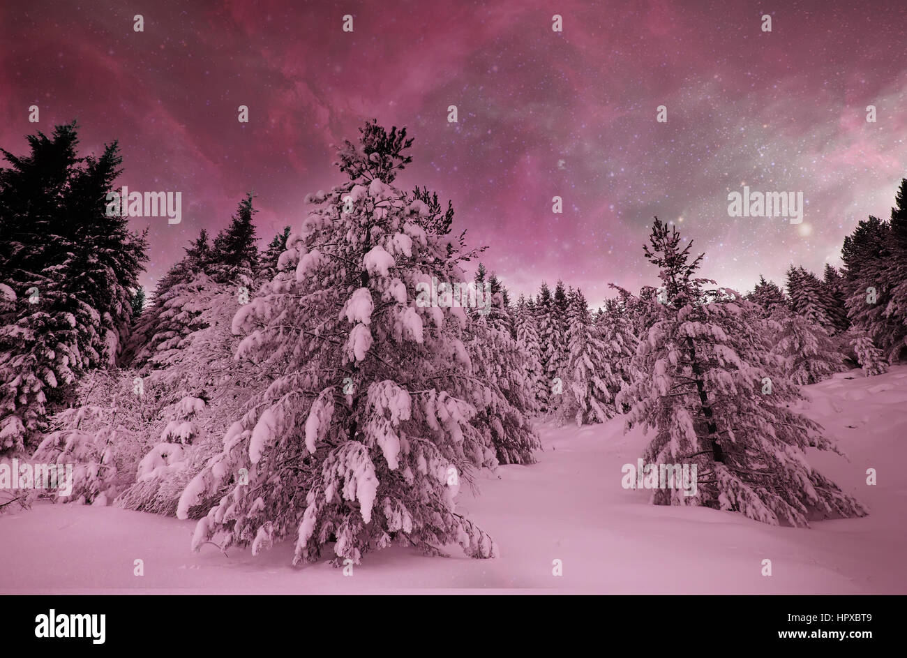 infrared winter fairy landscape with big trees- elements of this image ...