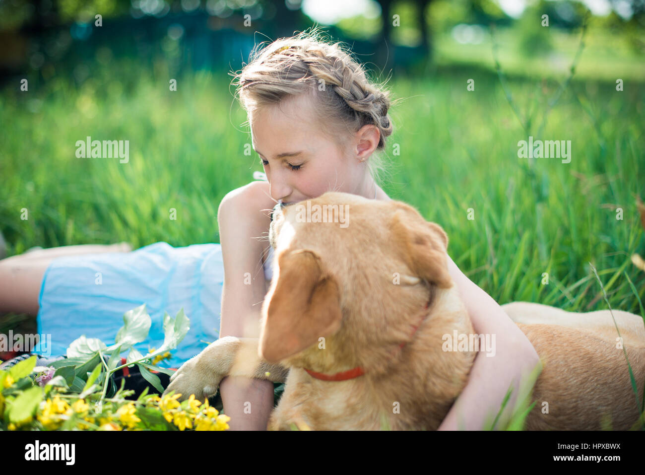girl with a dog lying on the grass in the garden on a sunny summer day ...