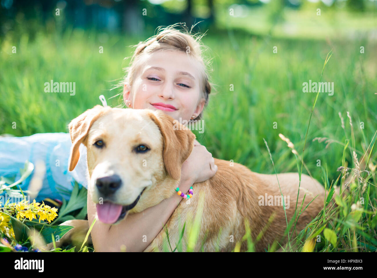 girl with a dog lying on the grass in the garden on a sunny summer day ...