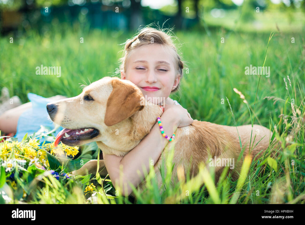 girl with a dog lying on the grass in the garden on a sunny summer day ...