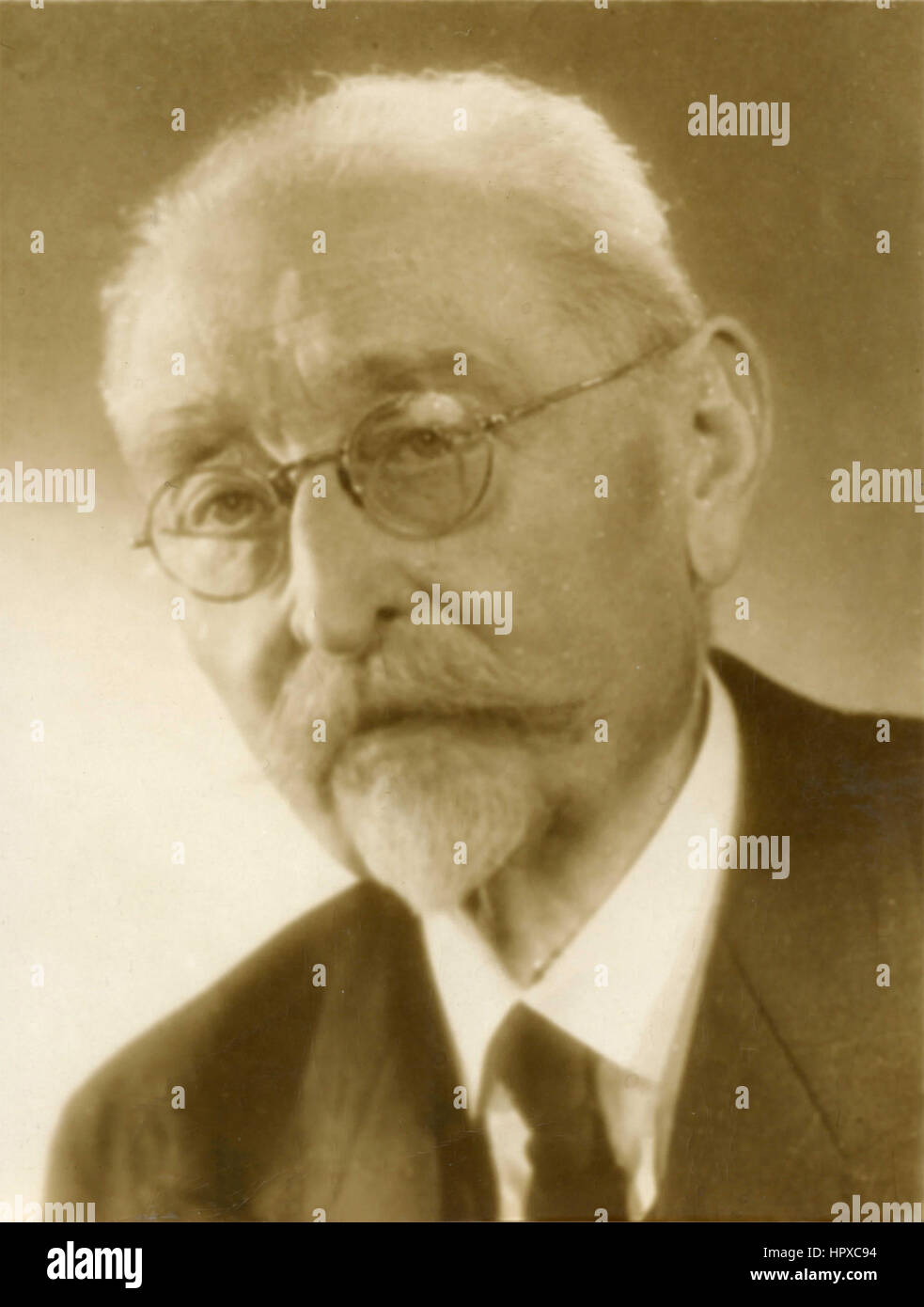 French veterinarian camille guerin hires stock photography and images