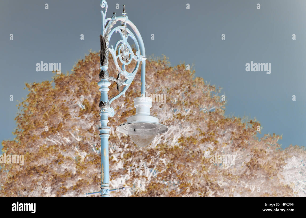 Lamp post in autumn park,infrared effect,Buxton,Derbyshire,United Kingdom. Stock Photo