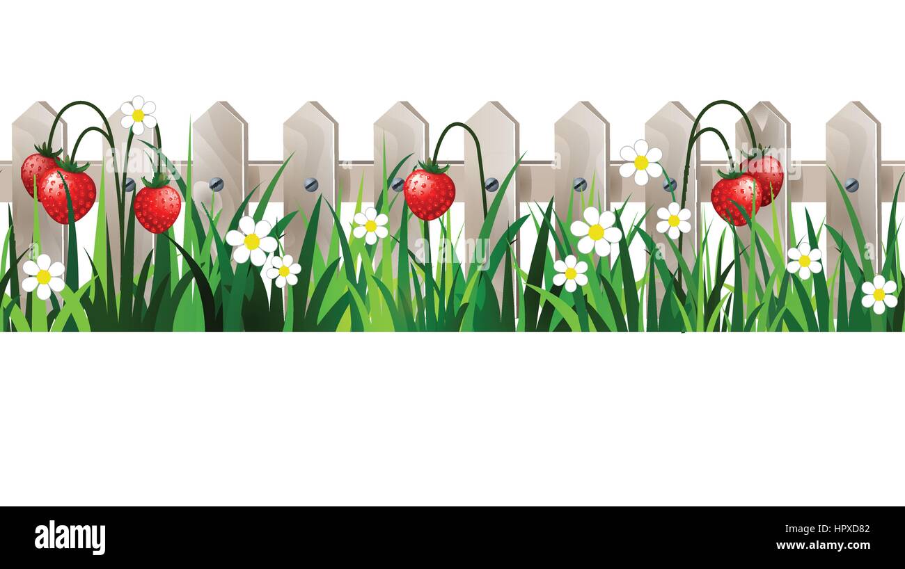 Green Grass seamless Stock Vector Image & Art - Alamy