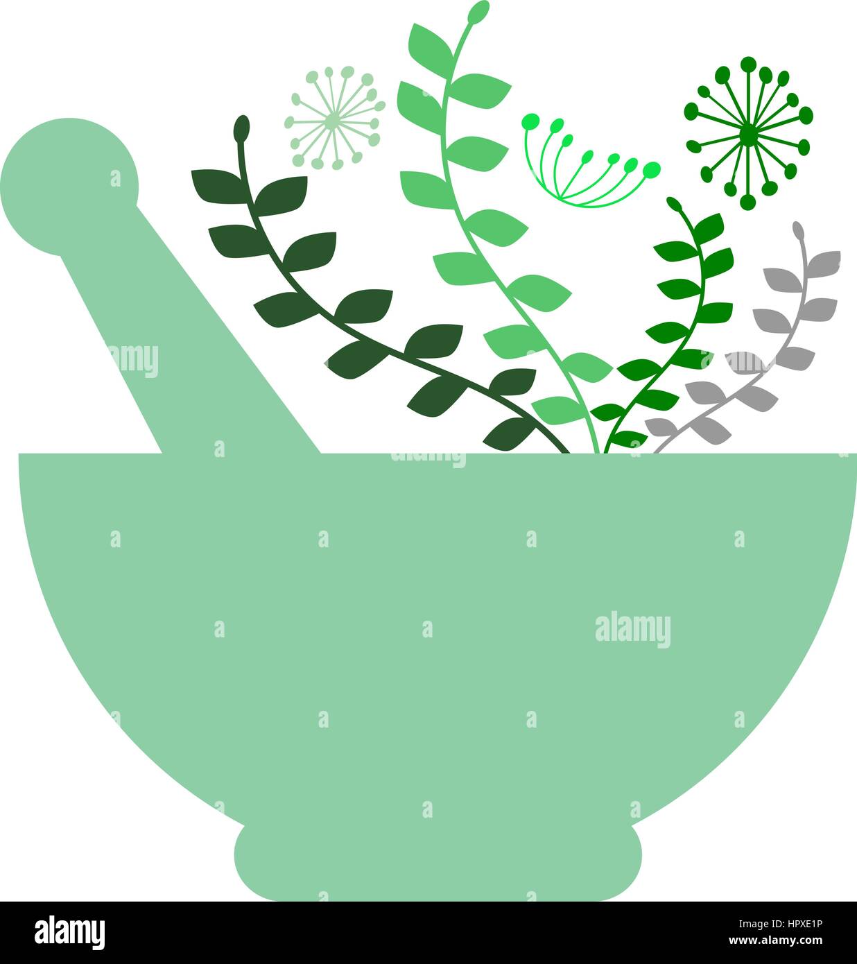 Mortar and pestle with green herbs. Medicinal plants. Pharmacy, alternative medicine, homeopathy