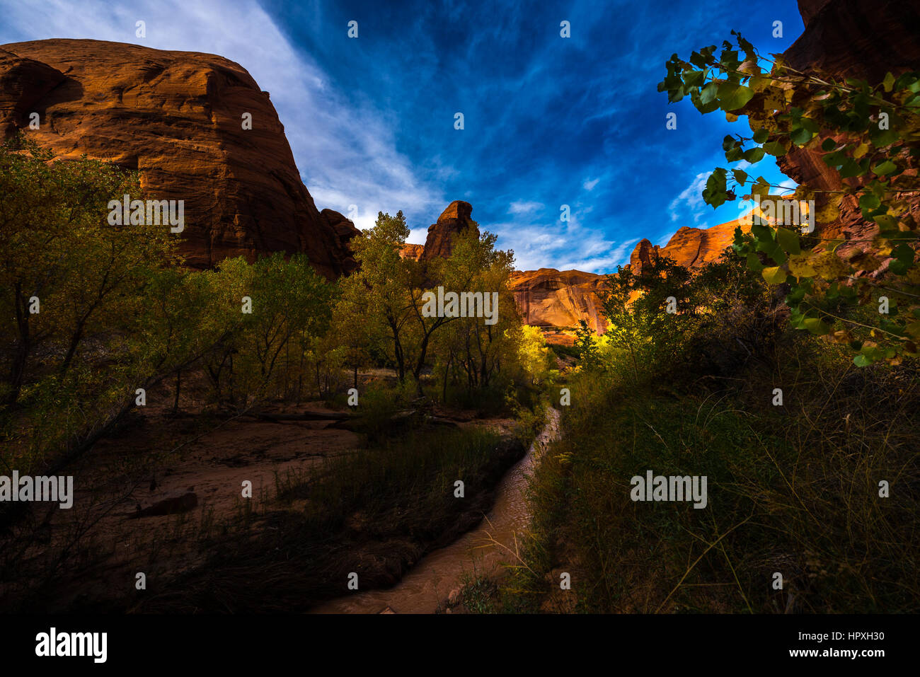 Coyote Gulch Fall Colors Grand Staircase Escalante Utah USA Stock Photo