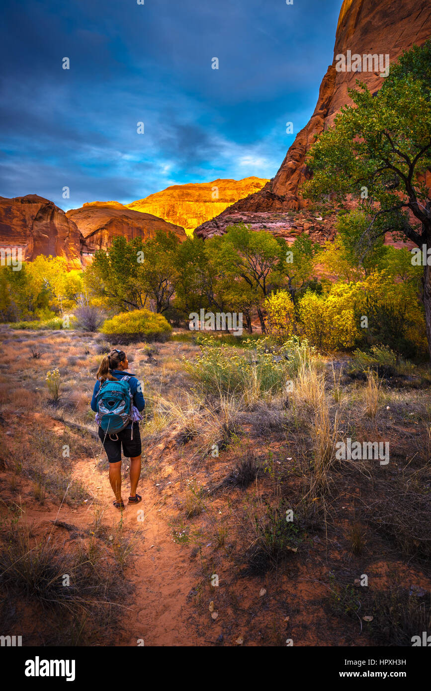 Hiker on a trail in Coyote Gulch Escalante Fall Colors Stock Photo