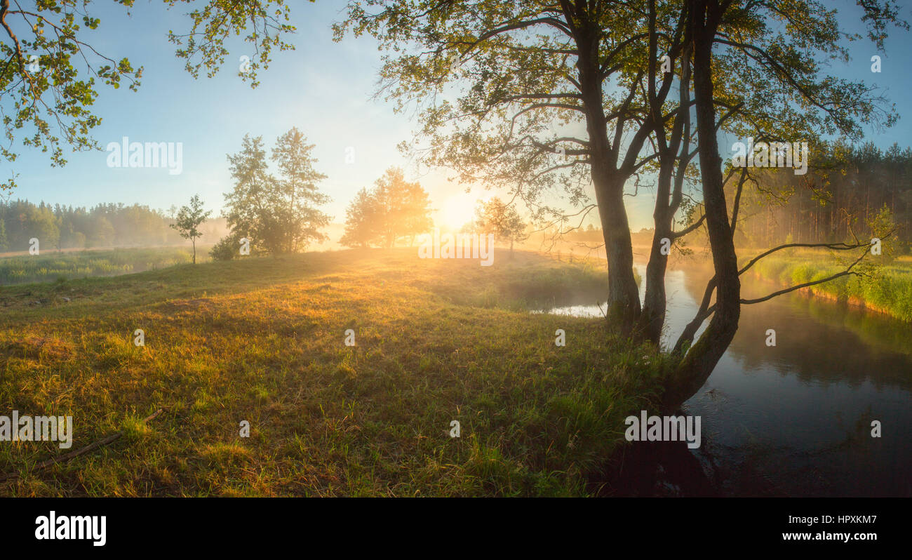 Bright summer sunrise with river coast and couple trees Stock Photo