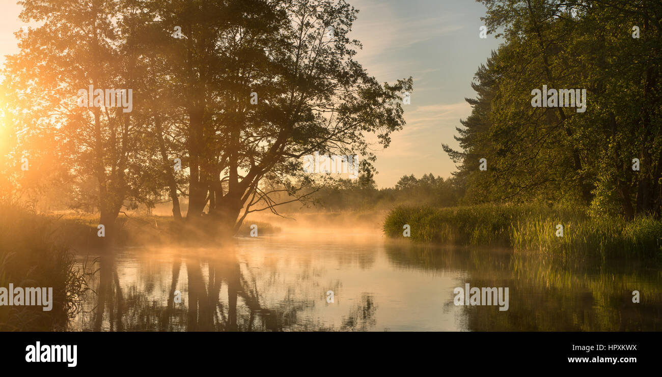 Still river in morning fog and sun light Stock Photo