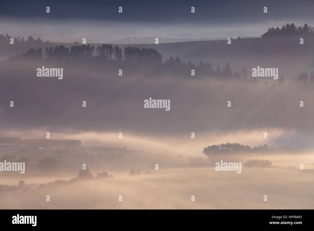 Morning fog in Alpswith hills and small trees Stock Photo