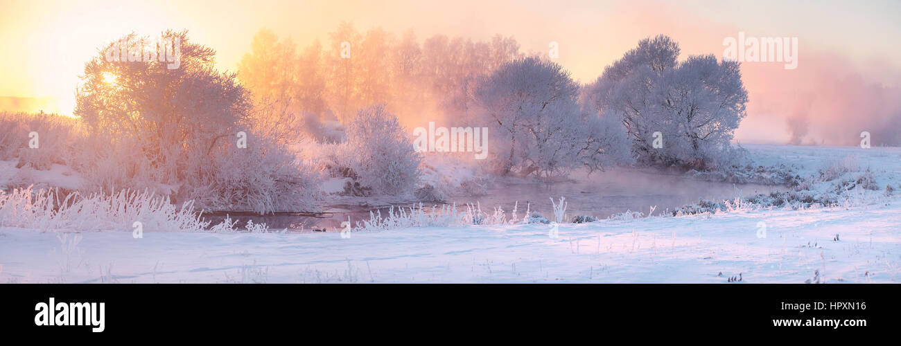 Fairy winter morning. Christmas sunlight illuminate snow and trees in hoarfrost. Bright xmas background. Stock Photo