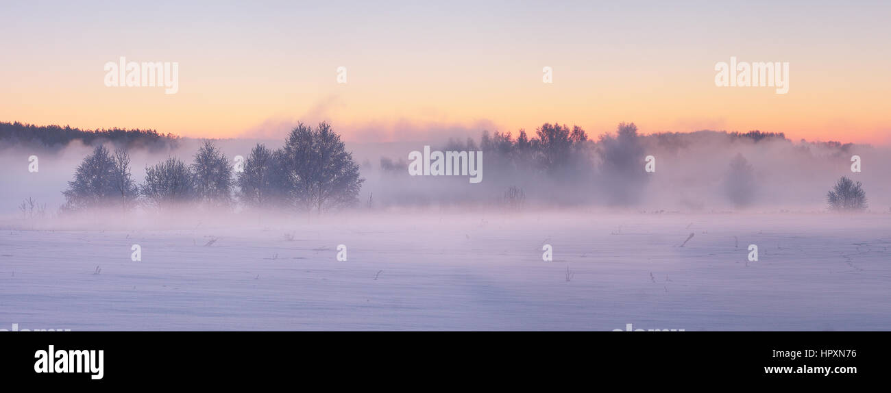 White mist above snow. Winter morning landscape. Colorful winter sunrise. Frosty xmas background. Stock Photo