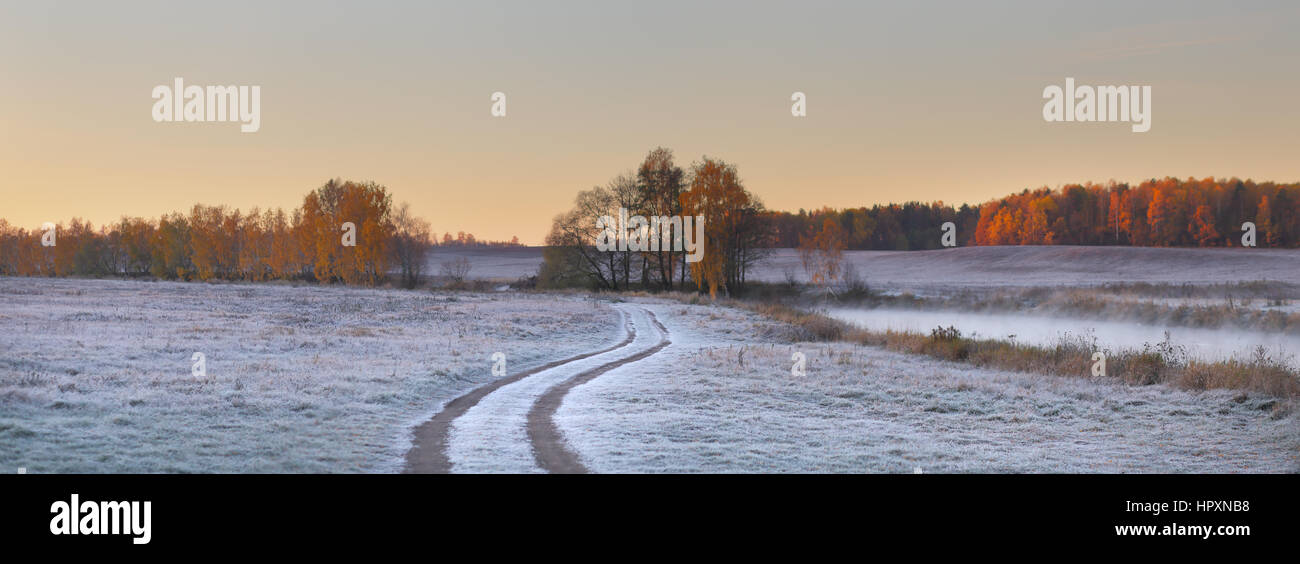 Country road in snowy field. Bright winter dawn. White hoarfrost on ground. Winter morning landscape. Stock Photo