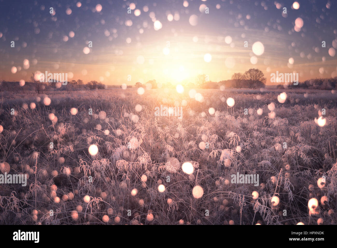 Christmas Background with snowflakes. Bright Xmas landscape. Winter sunrise with color snowflakes. Stock Photo