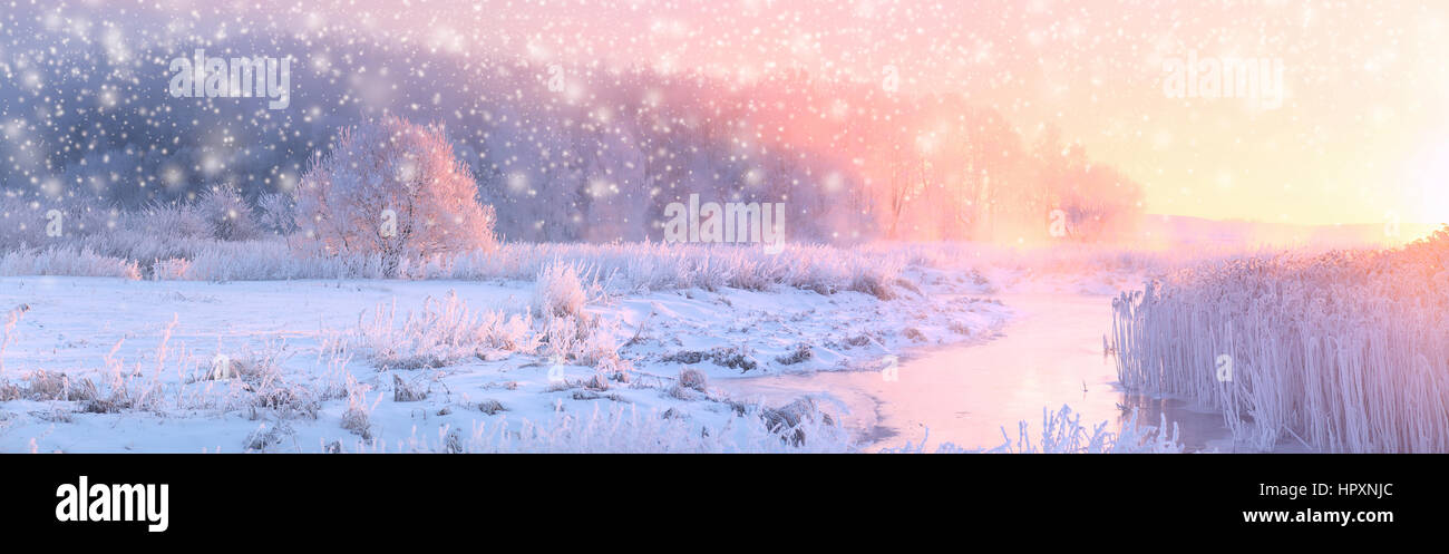 Christmas sunny background. Panoramic landscape of frosty winter morning. Rising sun illuminate white snow and trees in hoarfrost. Stock Photo