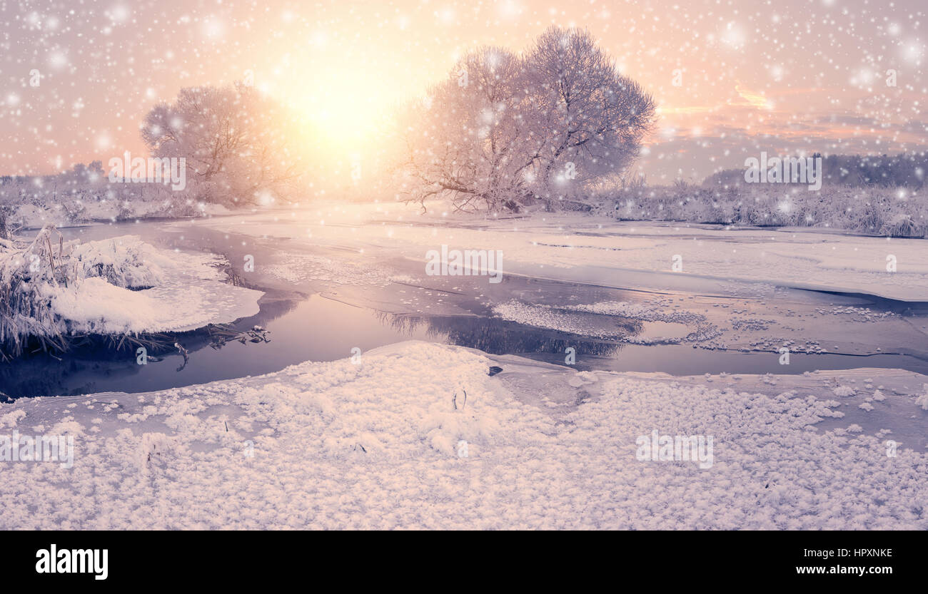 Snowfall in winter morning. Colorful Christmas background. Morning sun illuminate white snowflakes. Stock Photo