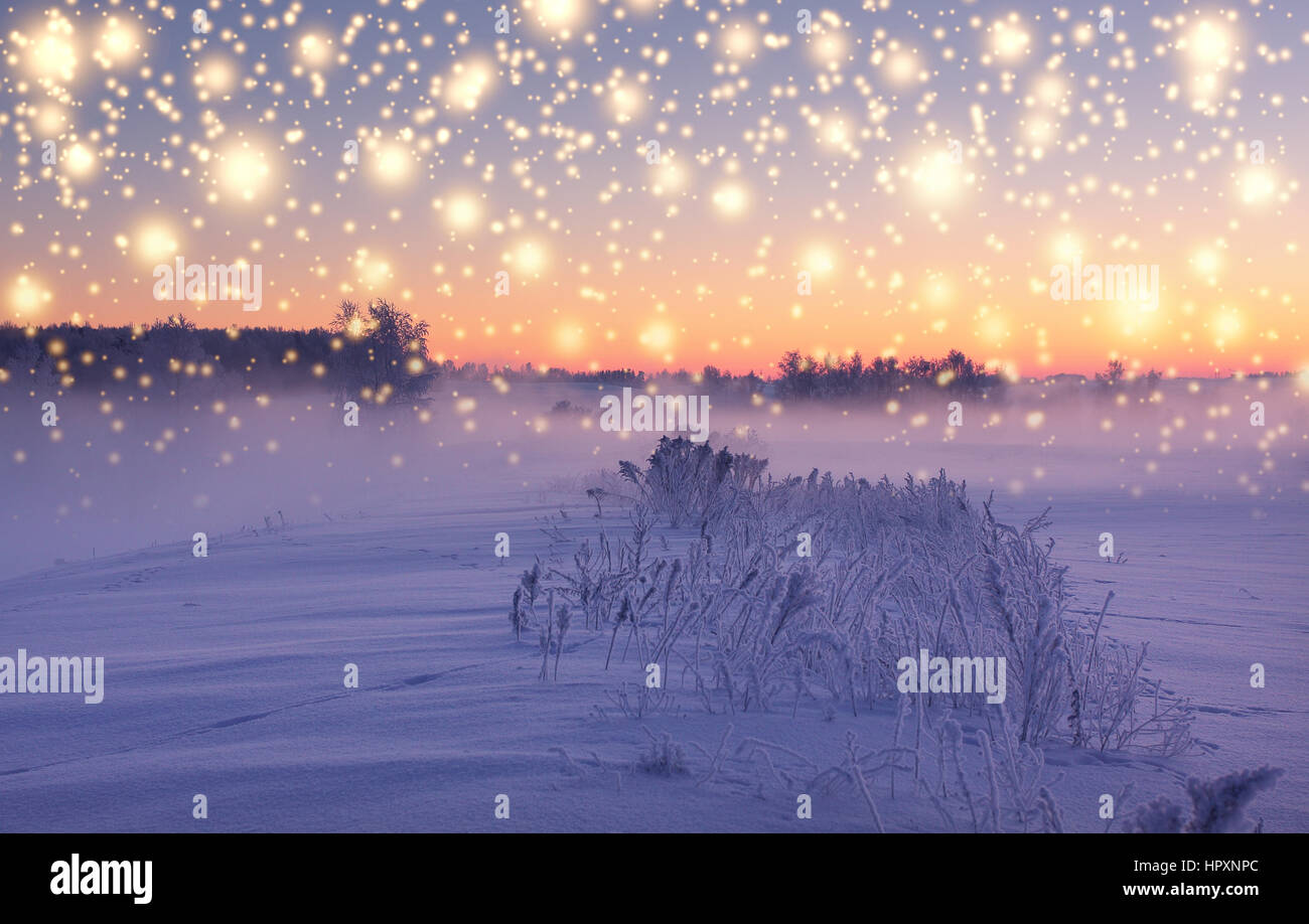 Christmas snowfall illuminated by rising sun. Snowy winter morning. Christmas lights on colorful background. Stock Photo