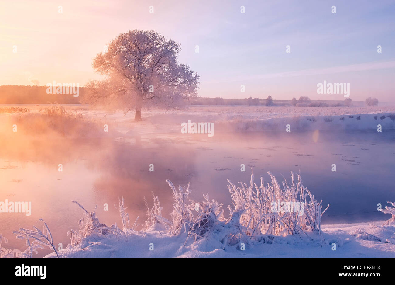 Sunny winter morning on lake with smoke coming from water Stock Photo
