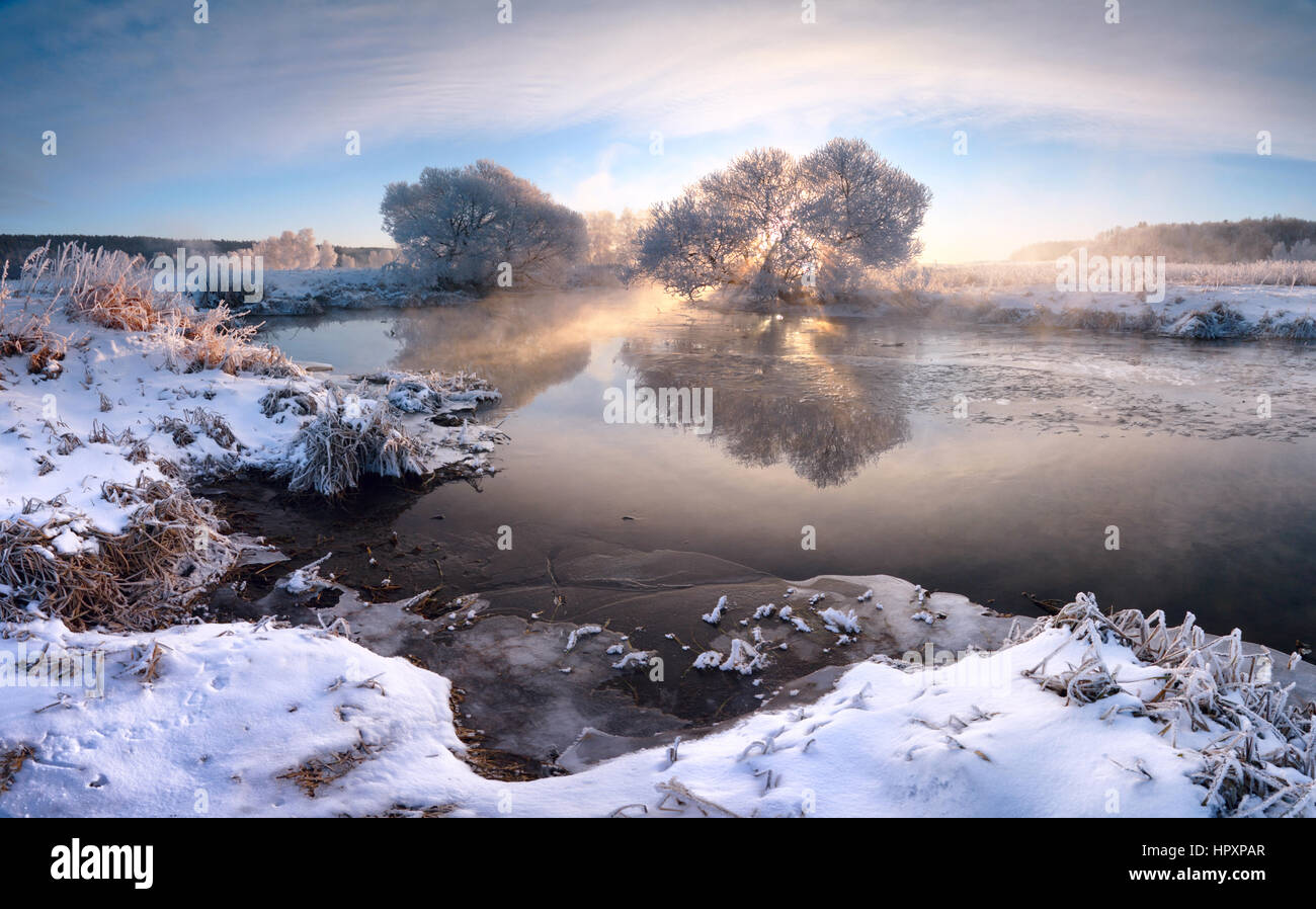 Frosty winter sunrise with blue sky and frosty trees Stock Photo - Alamy