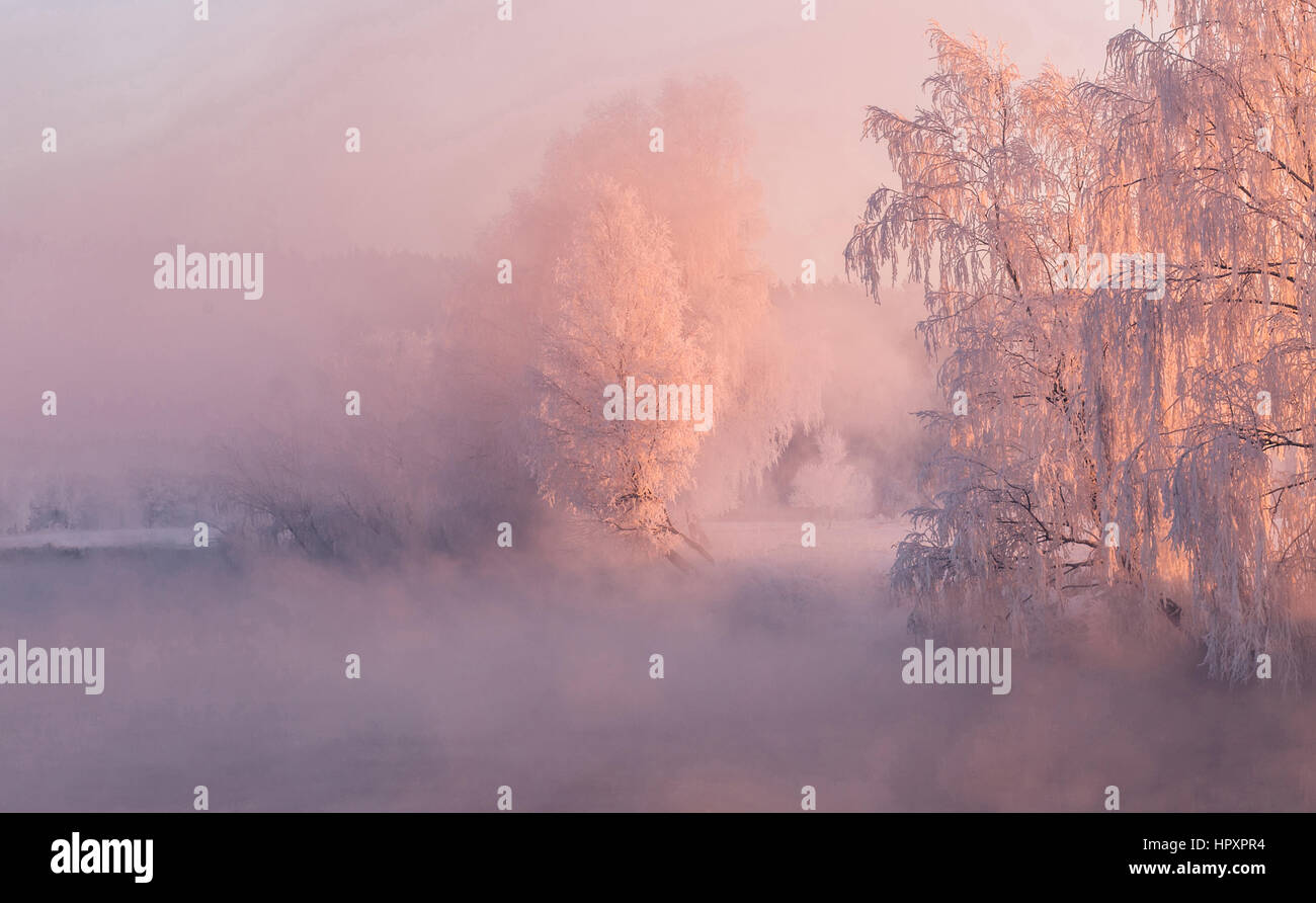 Winter dawn over the misty river with frozen trees illuminated by the red rising sun Stock Photo