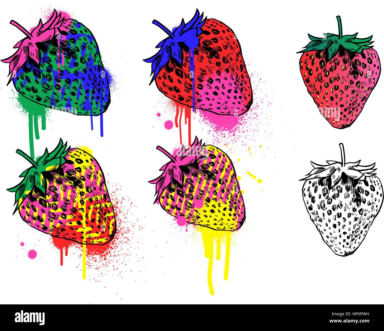 Strawberry vector illustration. Stock Vector