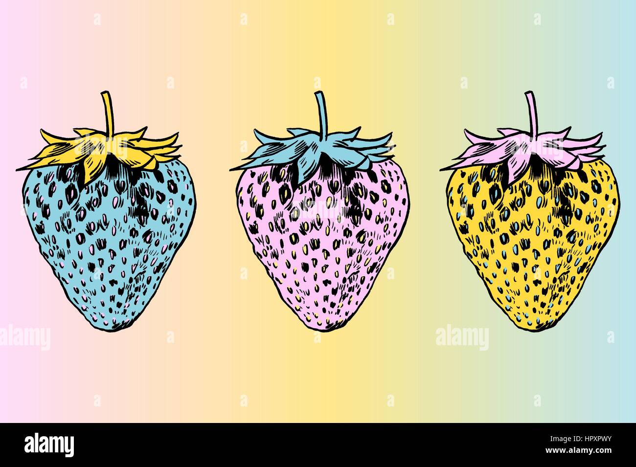 Strawberry vector illustration. Stock Vector