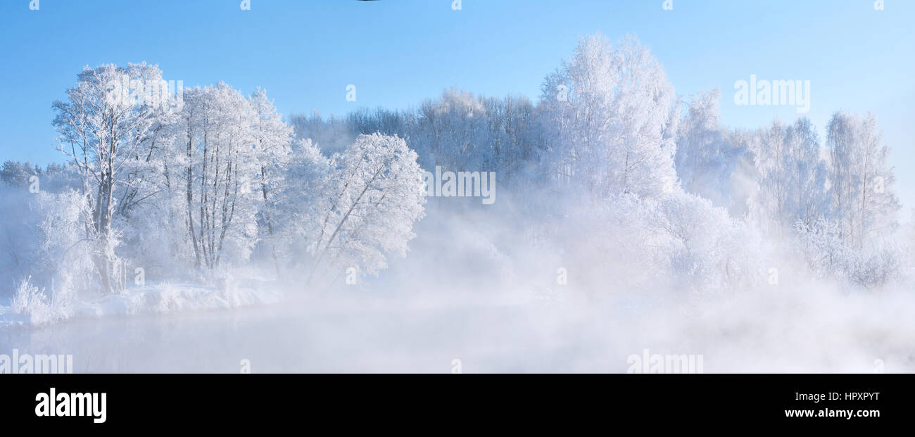 Picturesque winter landscape with frosty white winter trees in front of the blue sky Stock Photo