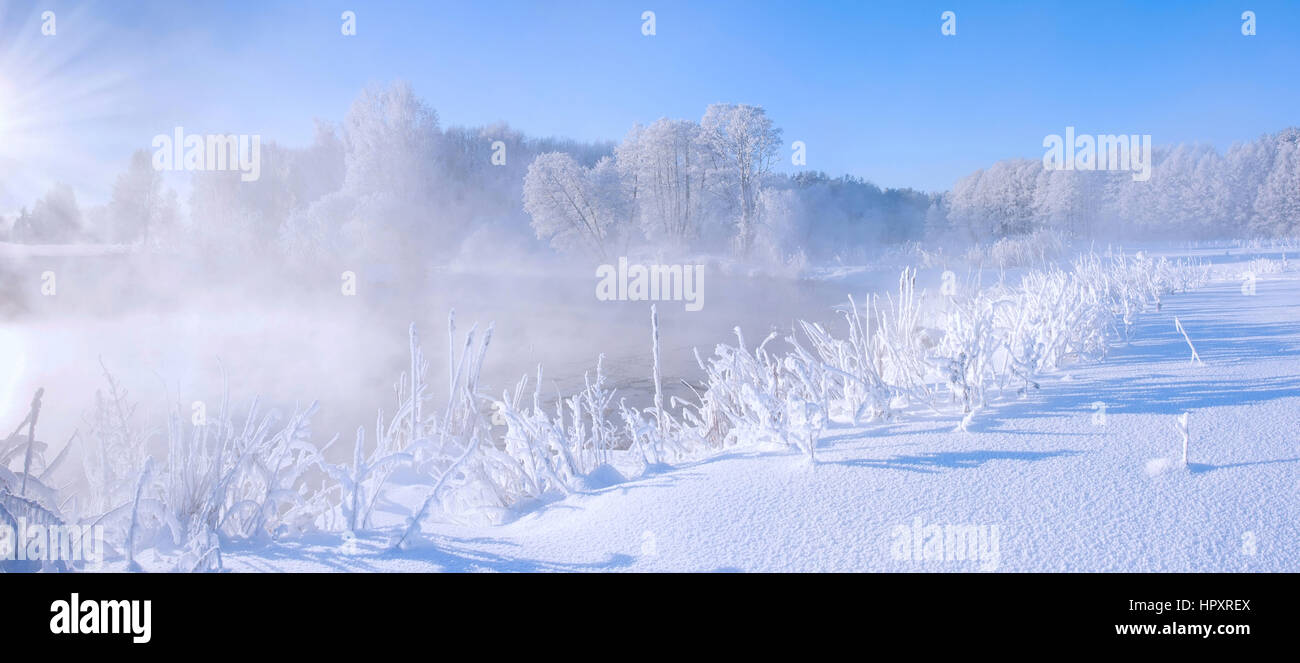 White frozen trees in the winter morning with colorful winter dawn and everything covered by snow and frost Stock Photo