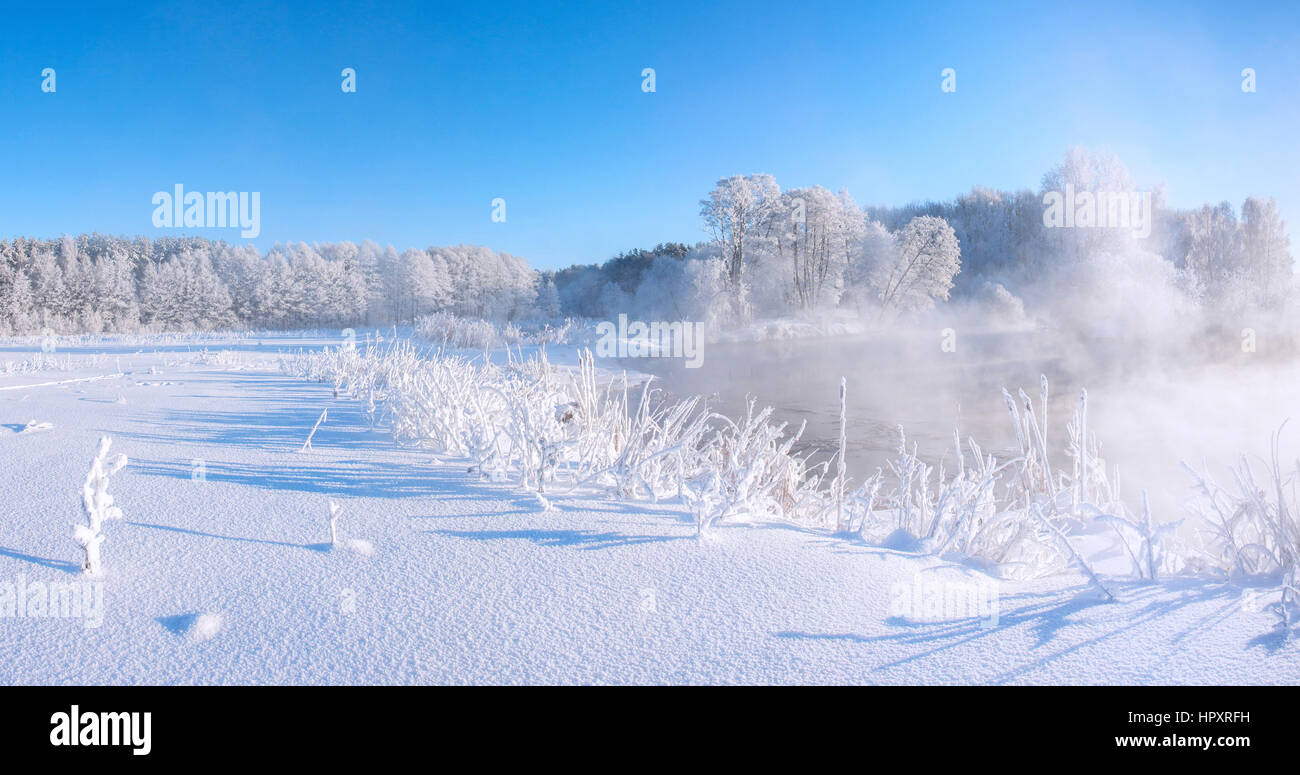 Frosty winter morning, colorful winter dawn with everything coverd by snow and frost Stock Photo