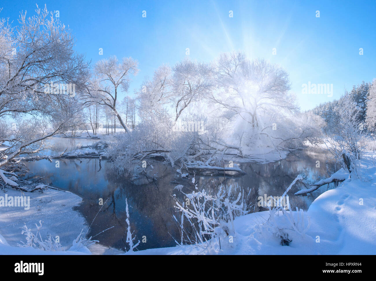 Winter landscape of white frozen trees in winter morning everything covered by snow and frost Stock Photo