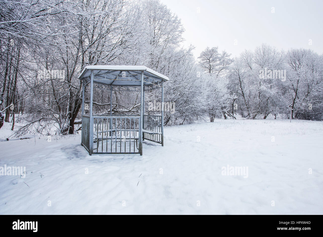 Snowy winter day in the Central Park in Cold winter morning Stock Photo
