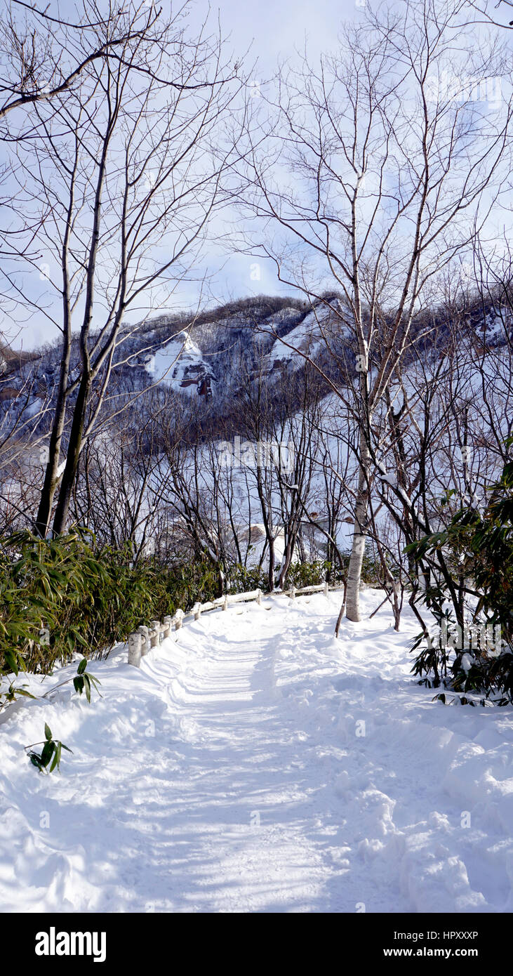 Snow and walkway in the forest Noboribetsu onsen snow winter vertical national park in Jigokudani, Hokkaido, Japan Stock Photo