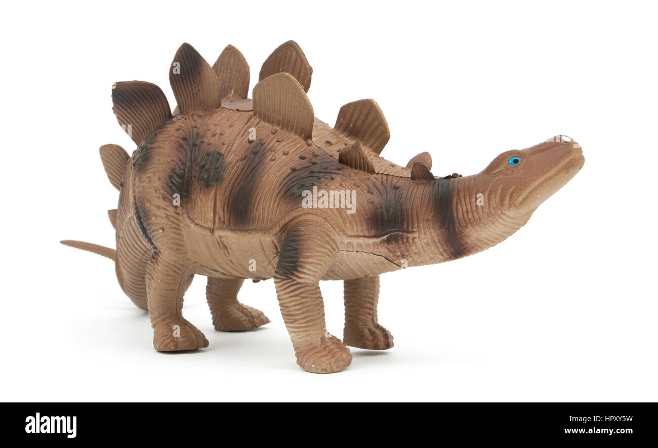 Stegosaurus dinosaur isolated on white background Stock Photo - Alamy