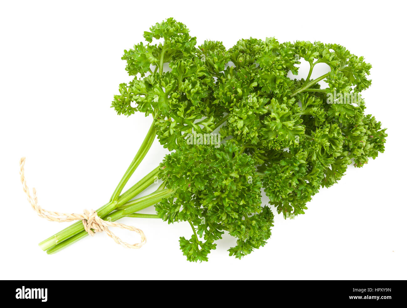 fresh green parsley isolated on white background Stock Photo - Alamy