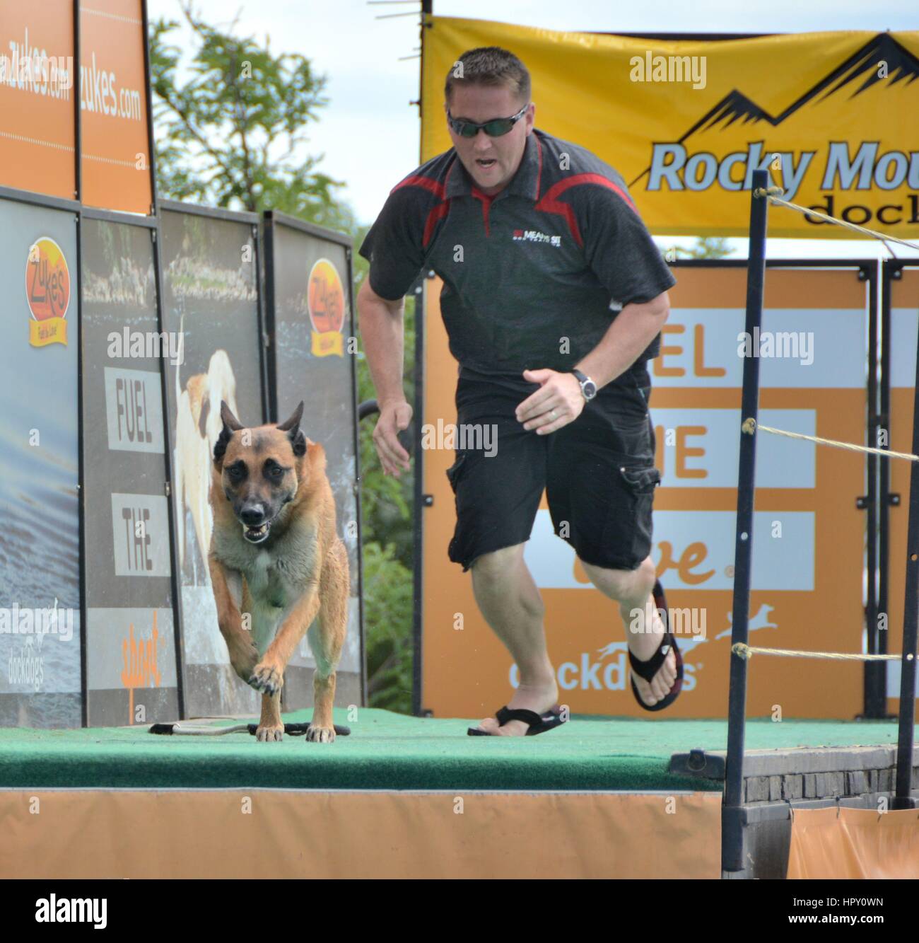 Dock diving dog hires stock photography and images Alamy
