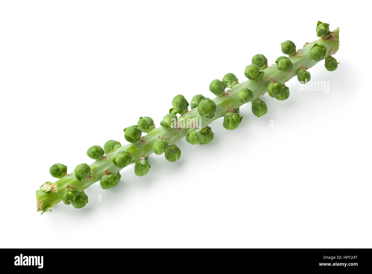Stalk with fresh Brussels sprouts on white background Stock Photo