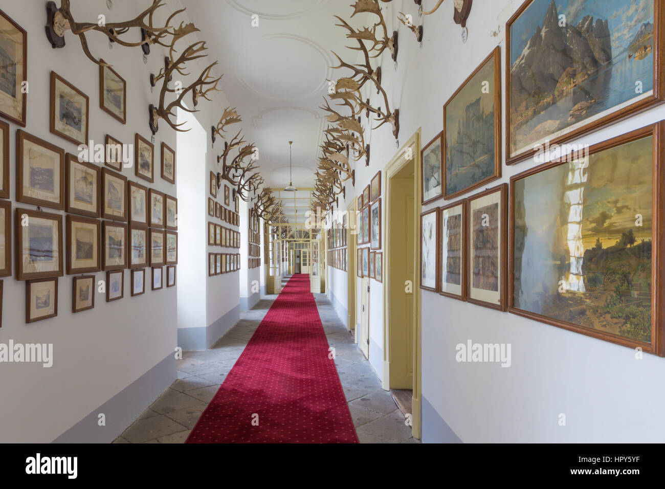 SAINT ANTON, SLOVAKIA - FEBRUARY 26, 2014: Corridor with the lot of trophy in palace Saint Anton. Stock Photo