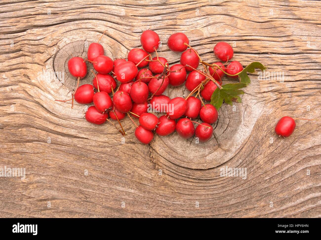 Red hawthorn berries with leaves isolated on white background Stock Photo