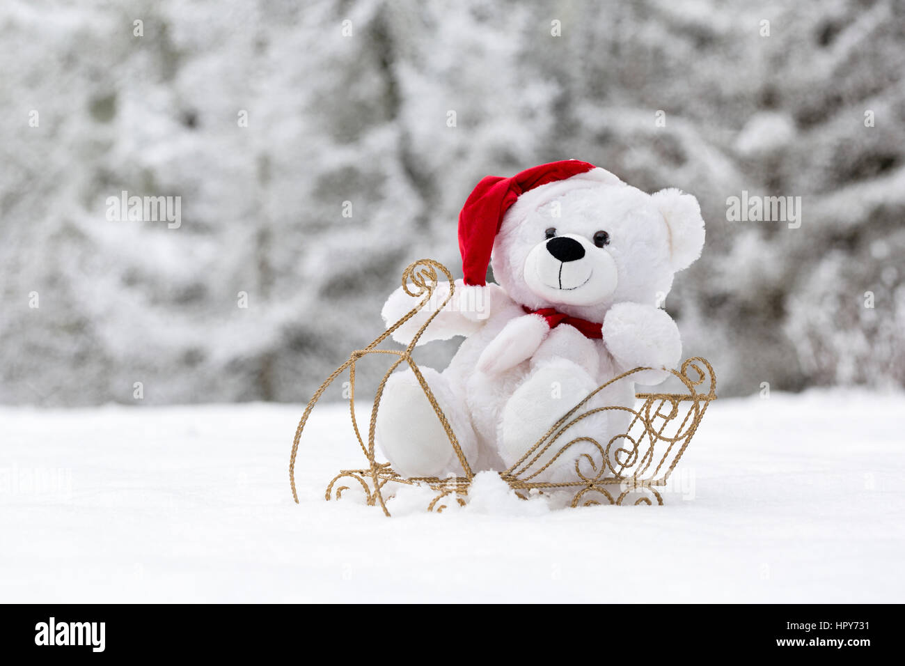 Christmas teddy bear in snow sleigh Stock Photo Alamy