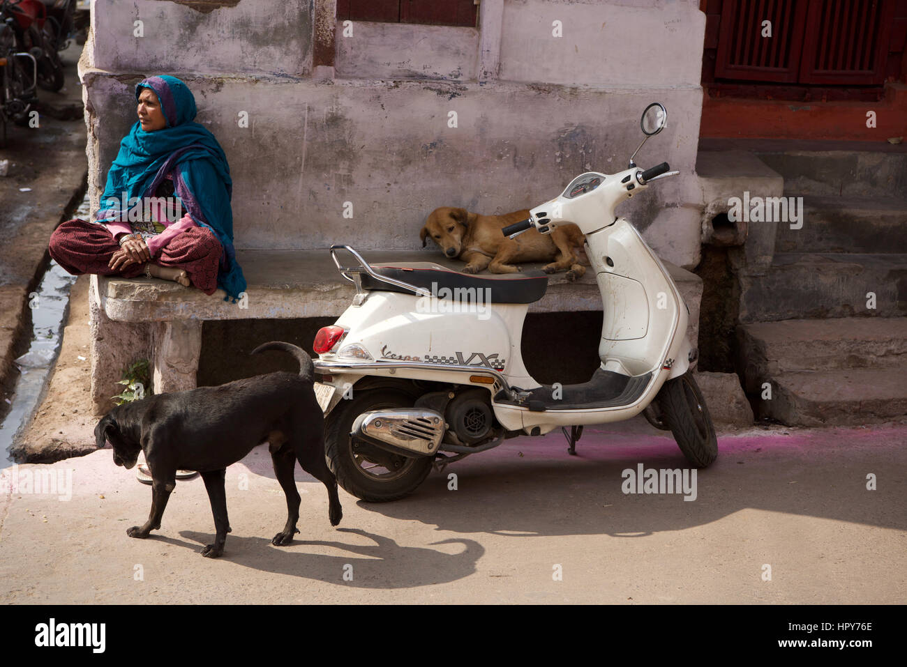 Street scene, jaipur, India Stock Photo