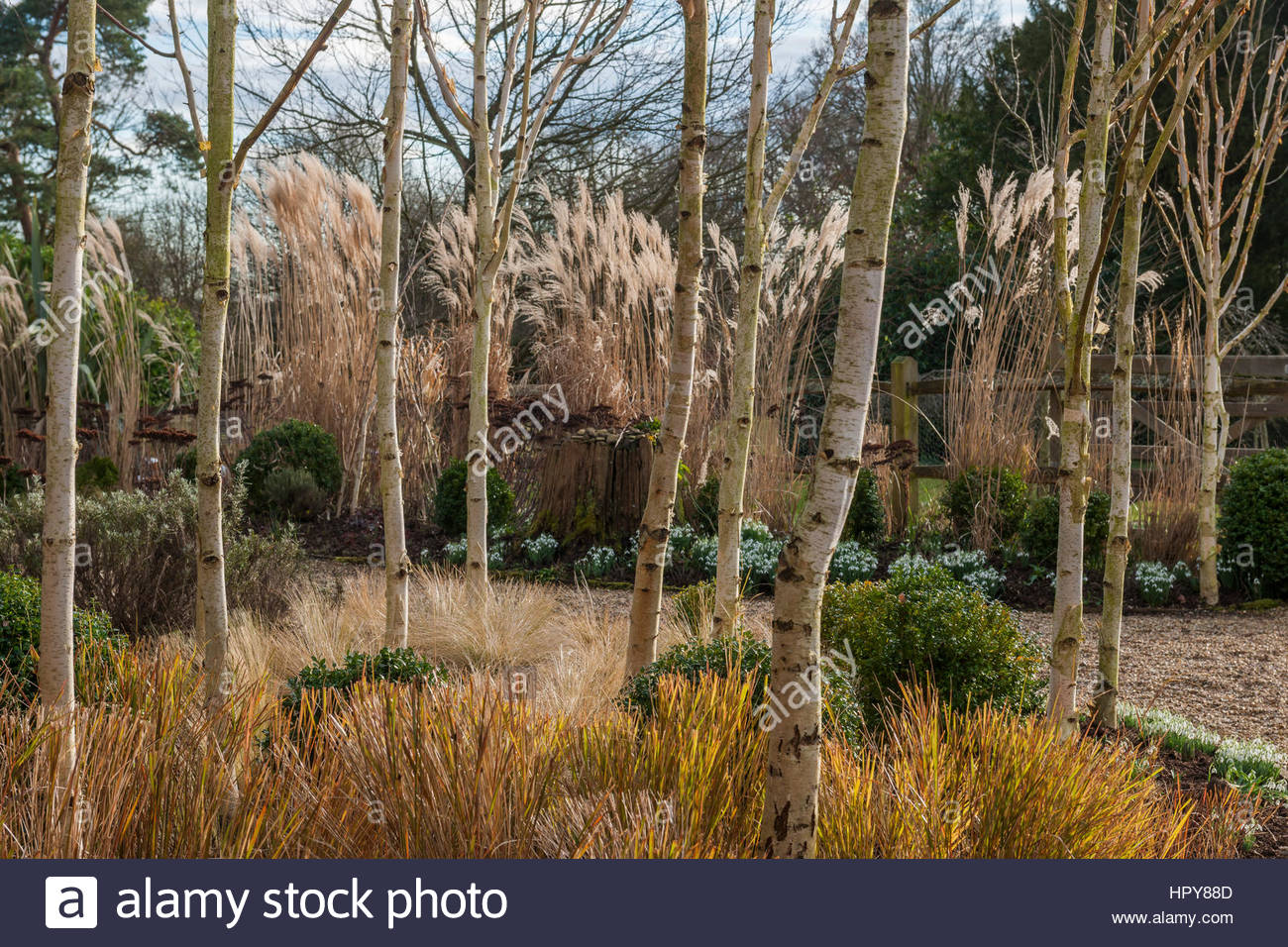 Boxwood Borders Stock Photos & Boxwood Borders Stock Images - Alamy Boxwood Borders Stock Photos & Boxwood Borders Stock Images - Alamy on Contemporary Garden Borders
id=85379