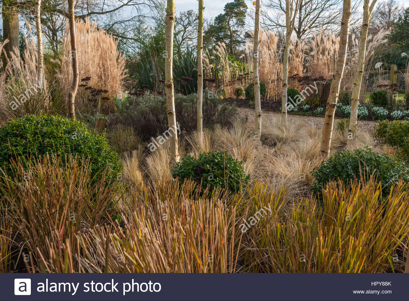Boxwood Borders Stock Photos & Boxwood Borders Stock Images - Alamy Boxwood Borders Stock Photos & Boxwood Borders Stock Images - Alamy on Contemporary Garden Borders
id=25853