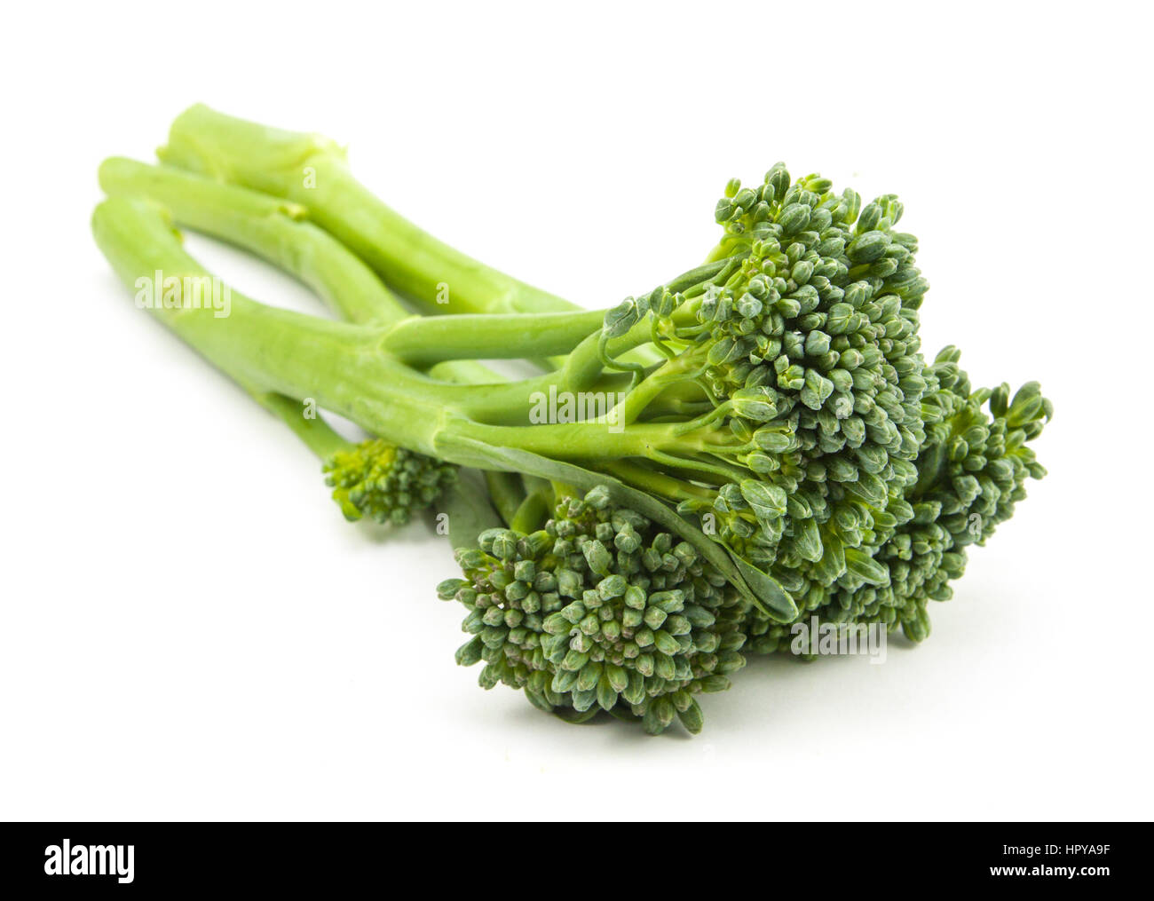 broccolini baby broccoli isolated on white Stock Photo Alamy