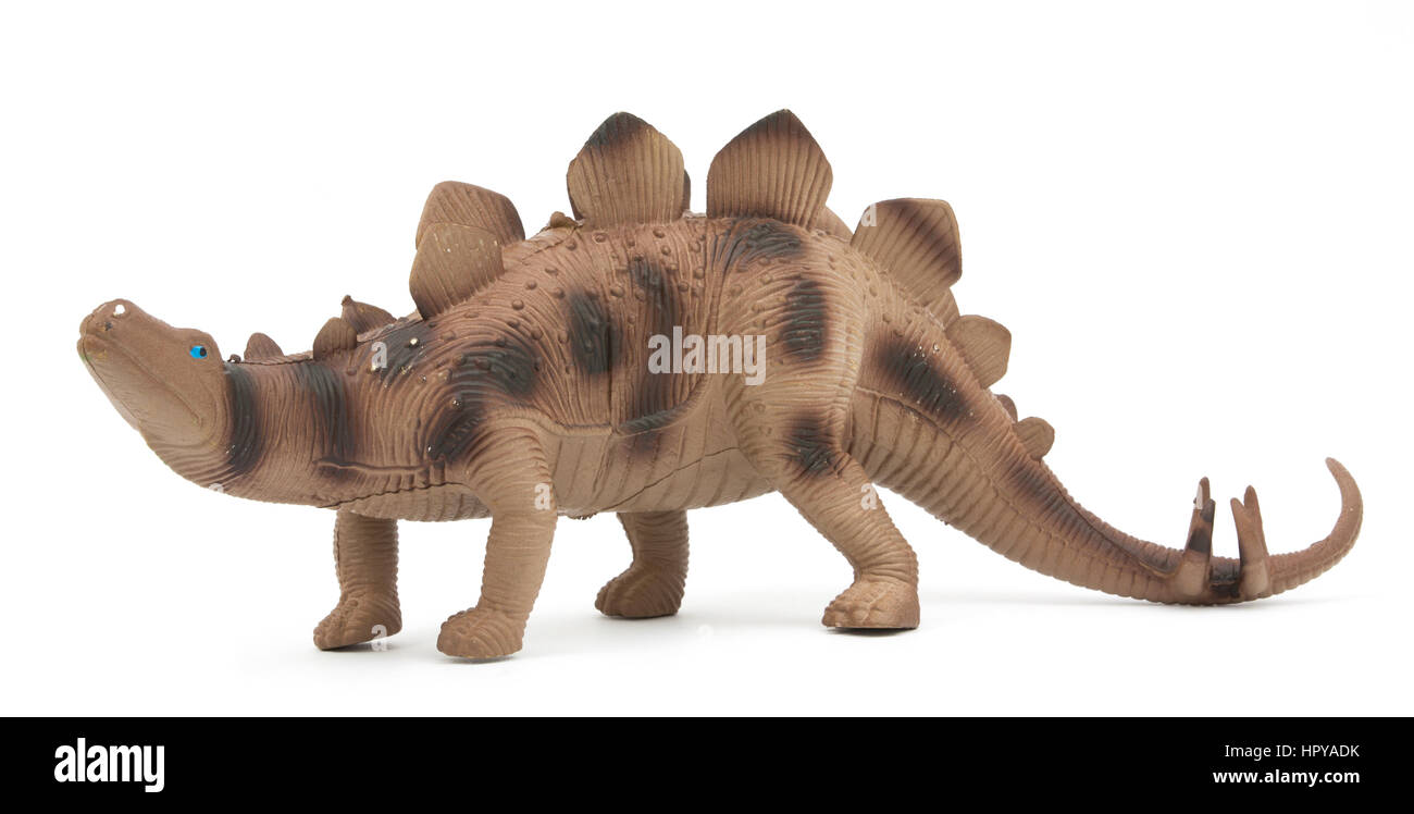 Stegosaurus dinosaur isolated on white background Stock Photo - Alamy