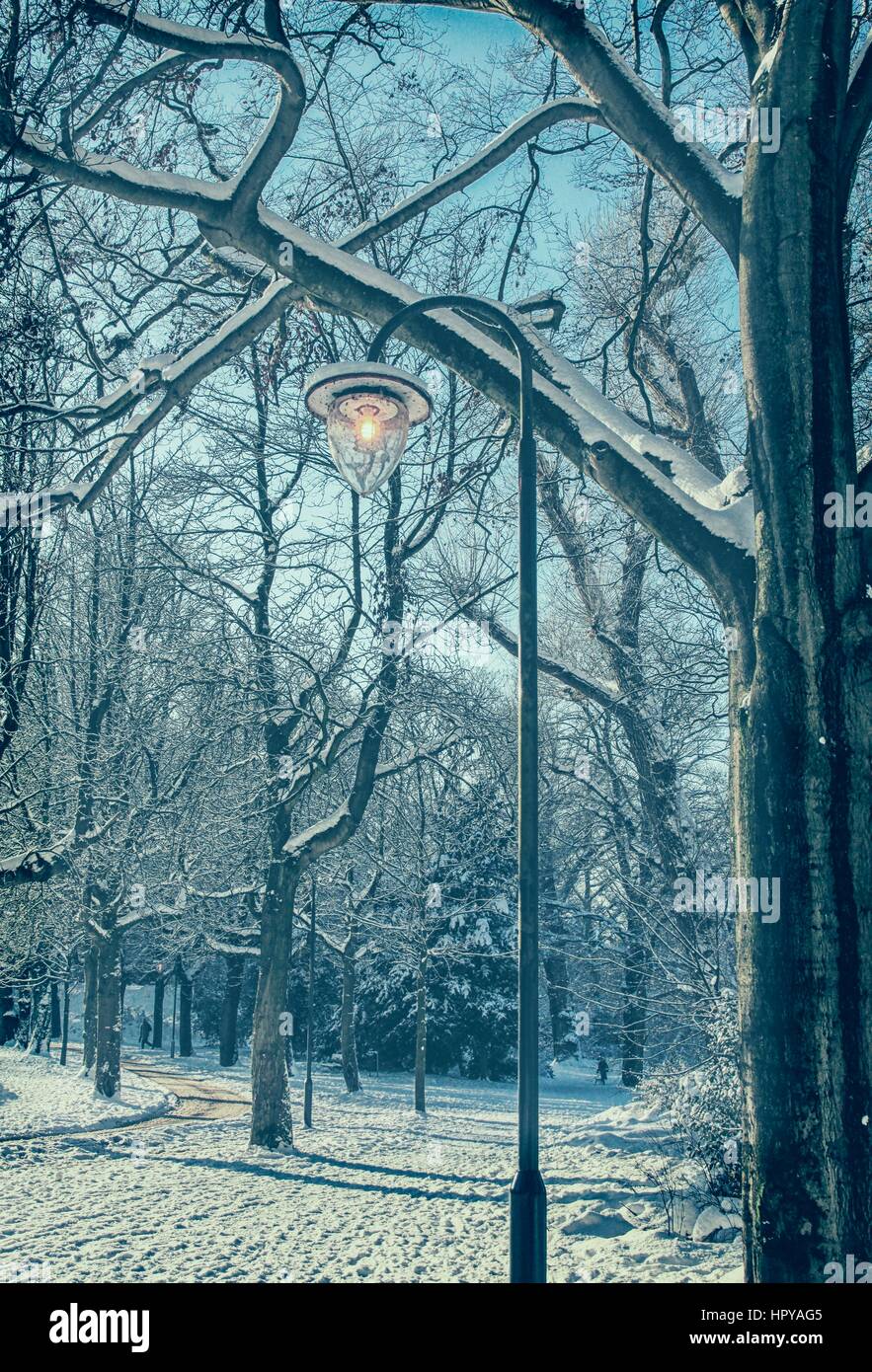 Vintage lantern in snowy park Stock Photo - Alamy