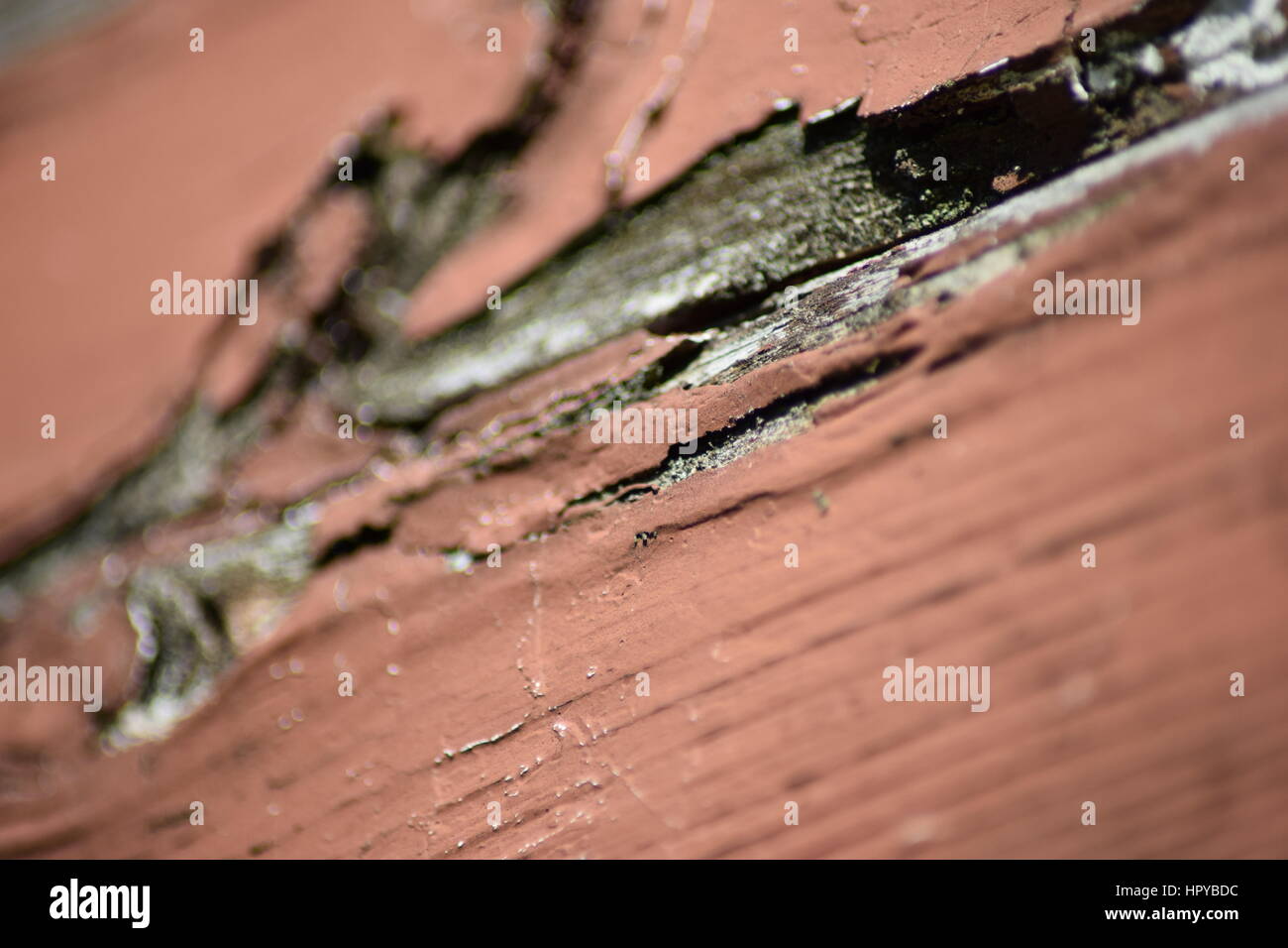 Red brown paint chips on a wood plank Stock Photo Alamy