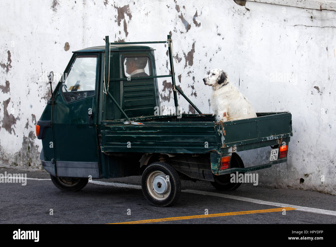 Ape motor vehicle with dog in the back, Capri, Campania, Italy, Europe Stock Photo