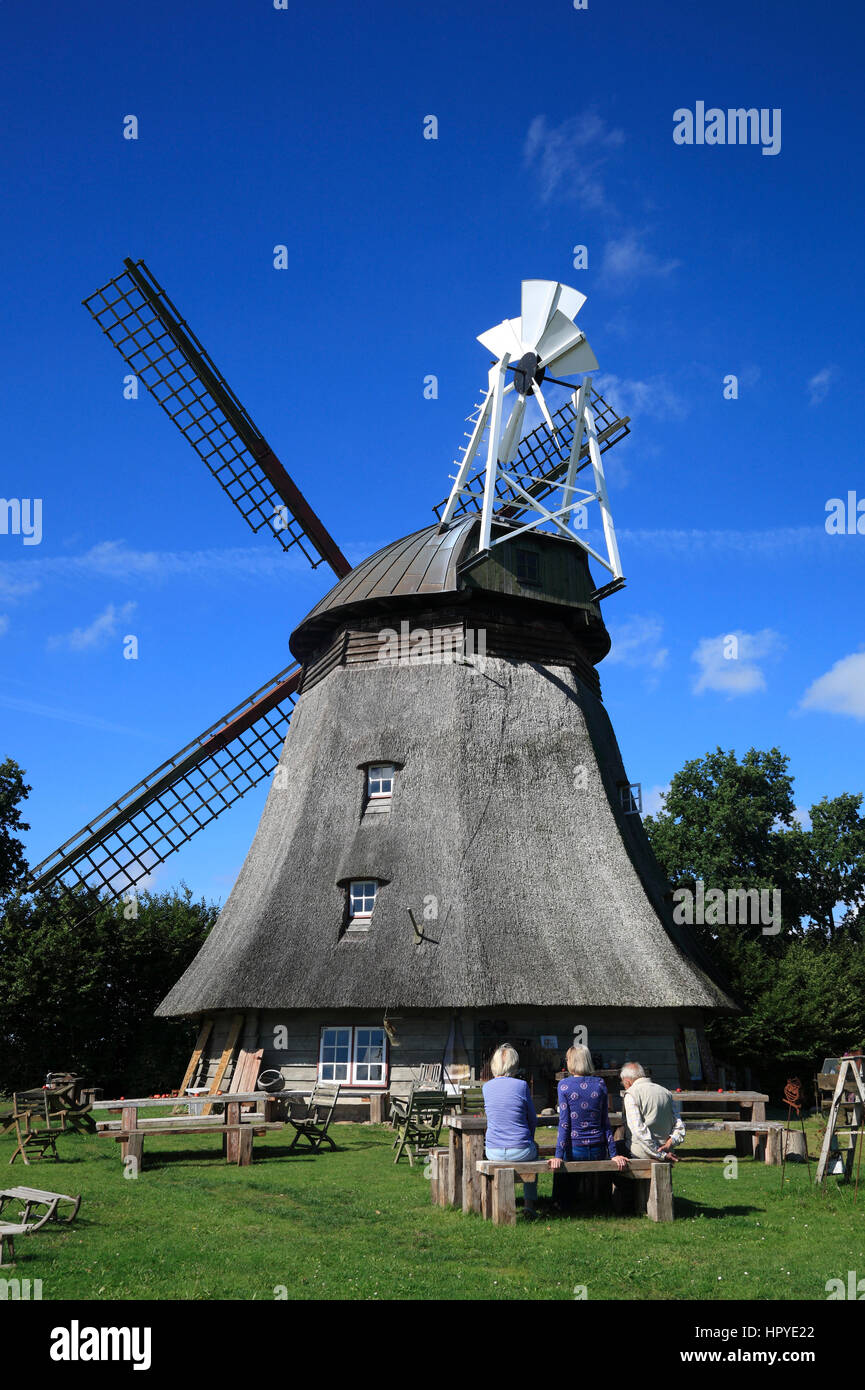 Grebin near Plön, windmill with cafe To'n Windbüdel, Schleswig-Holstein, Germany, Europe Stock Photo