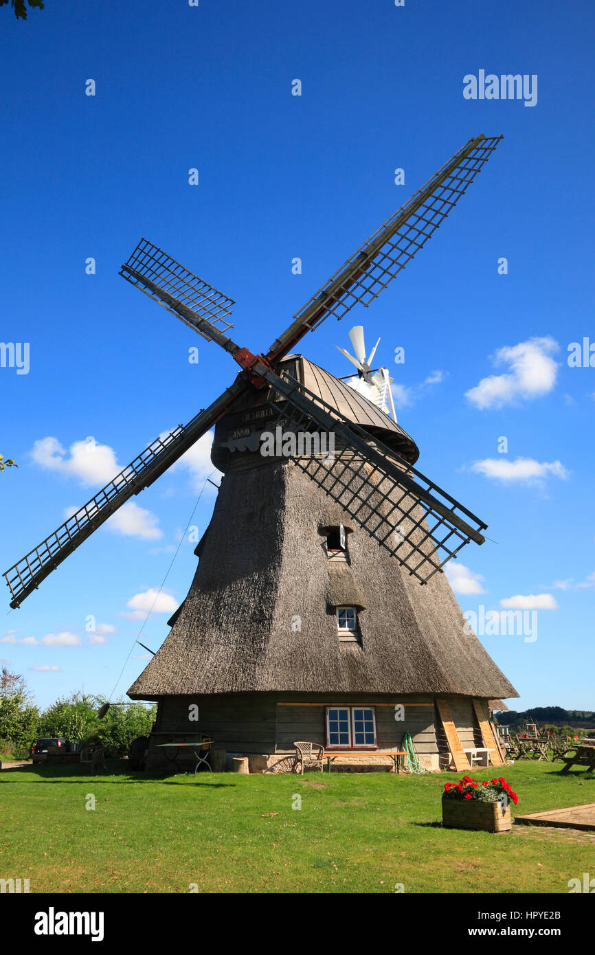 Grebin near Plön, windmill with cafe To'n Windbüdel, Schleswig-Holstein, Germany, Europe Stock Photo